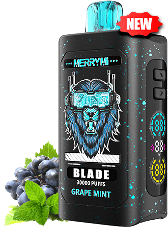 Merry-Mi Blade 30K – Grape Mint